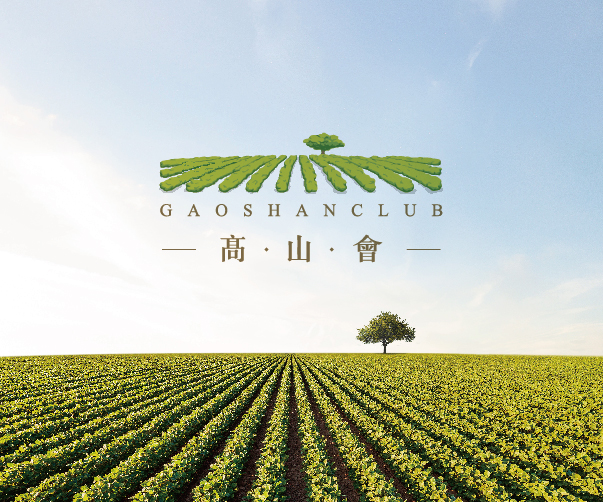神秘與技術的交織：探討游戲Logo設計的新范式